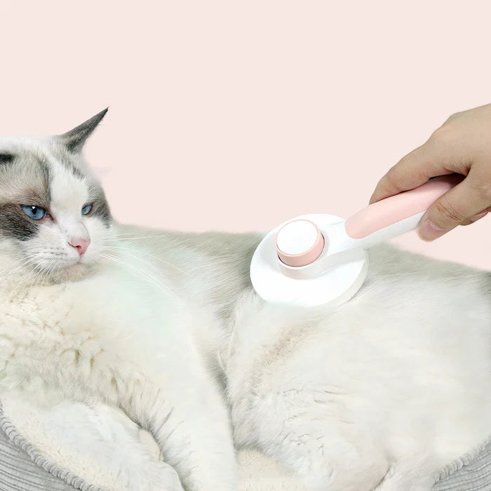 Self-Cleaning Pet Grooming Brush – Fine Wire Bristles, Gentle on Skin, Comfort Grip